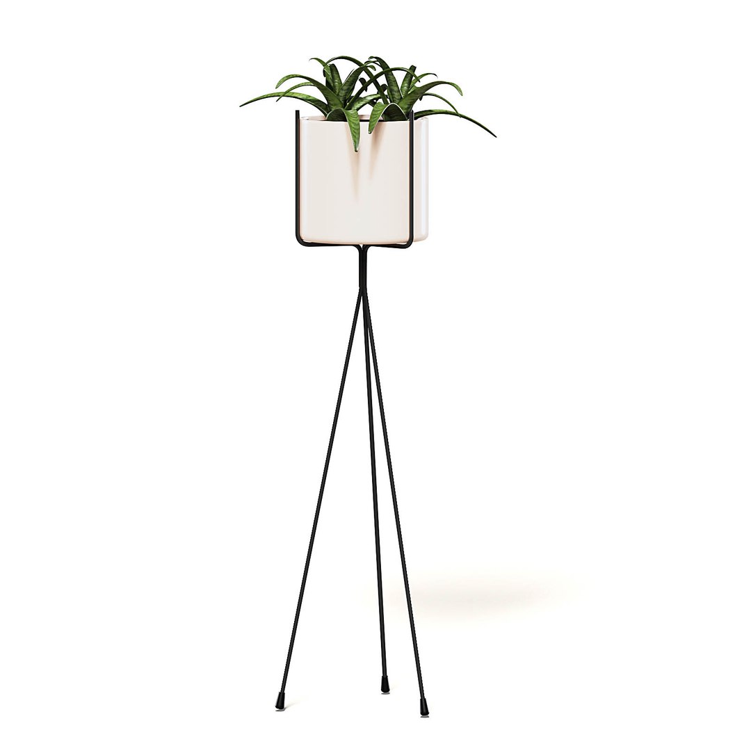 plants potted flowers 3D model https://p.turbosquid.com/ts-thumb/bC/Wy38I1/hZKeSniG/cgaxis_models_111_0400/jpg/1552600848/1920x1080/fit_q87/42ace09654aa4f0517bf94f9f41385ec2a017561/cgaxis_models_111_0400.jpg