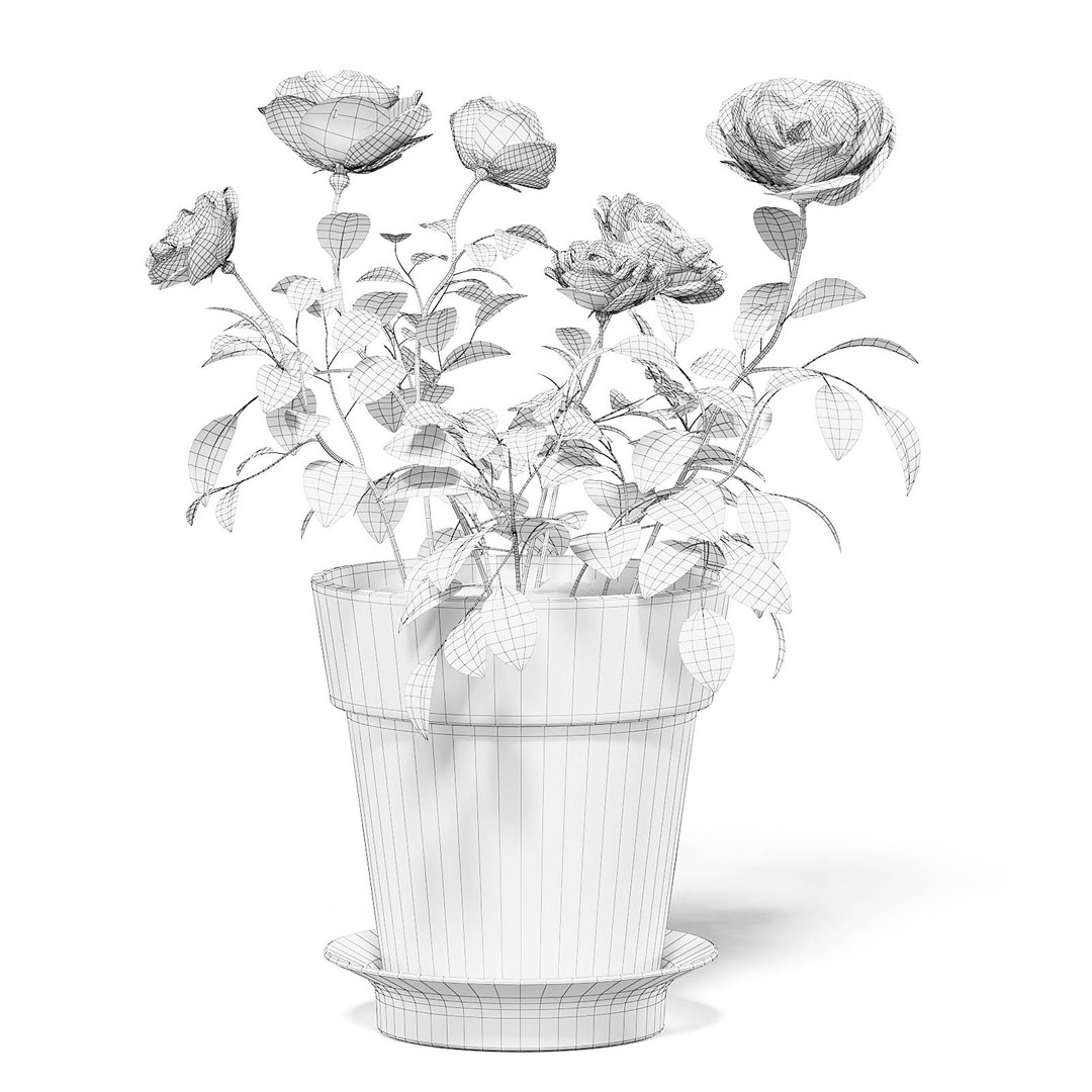 plants potted flowers 3D model https://p.turbosquid.com/ts-thumb/bC/Wy38I1/krW89aNG/cgaxis_models_111_2800grid/jpg/1552600851/1920x1080/fit_q87/7603abb576288f5204f43c9b51dd854670e9837e/cgaxis_models_111_2800grid.jpg