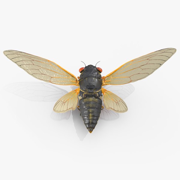 pharaohcicadaposetakeofffur3dmodel000.jp