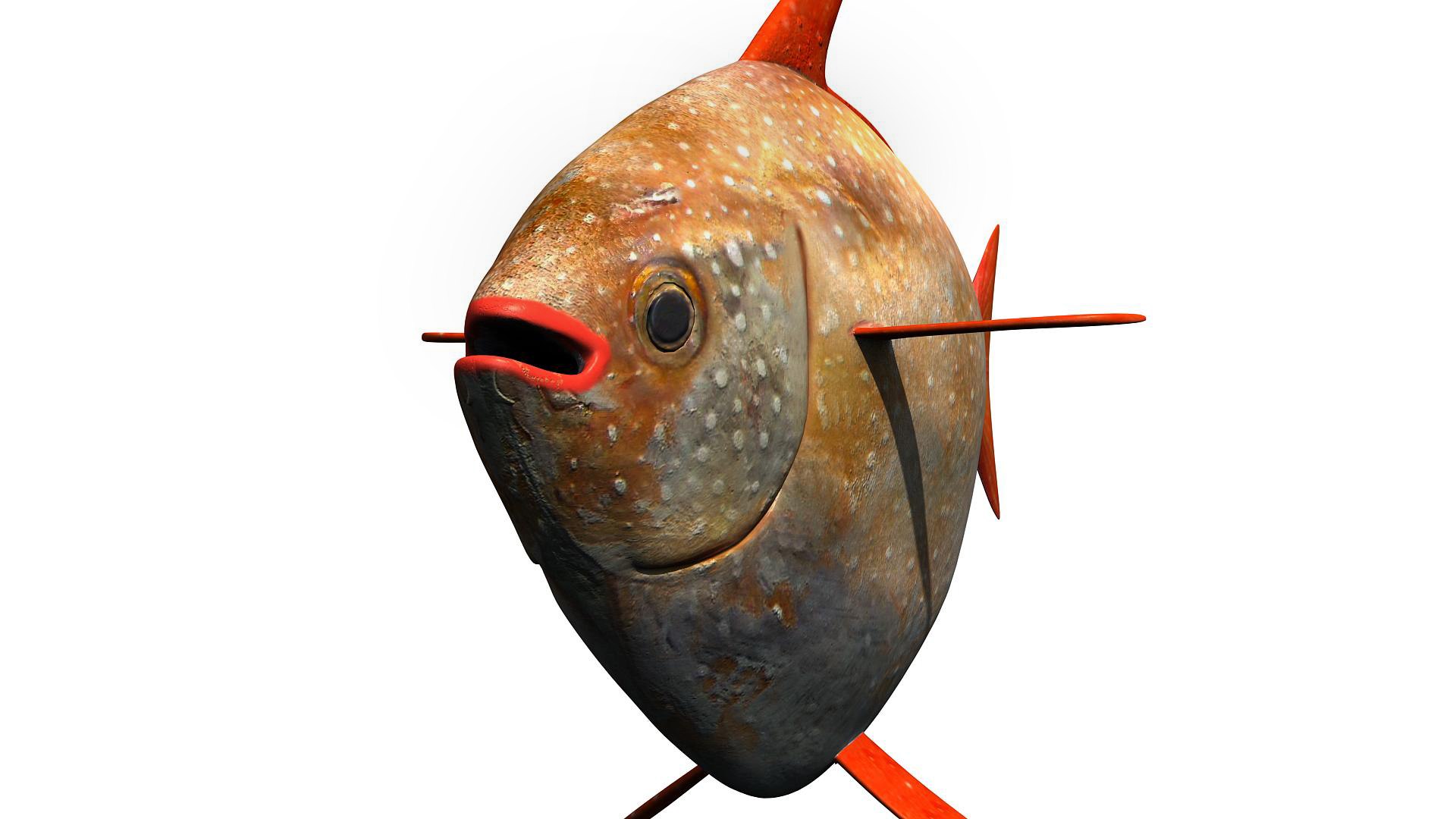 3D Opah Moonfish - TurboSquid 2018577