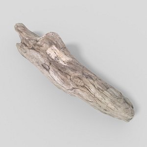 Driftwood 03 Lowpoly