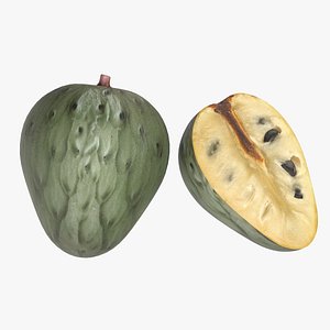 Cherimoya Fruit model