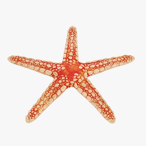 3D necklace starfish model