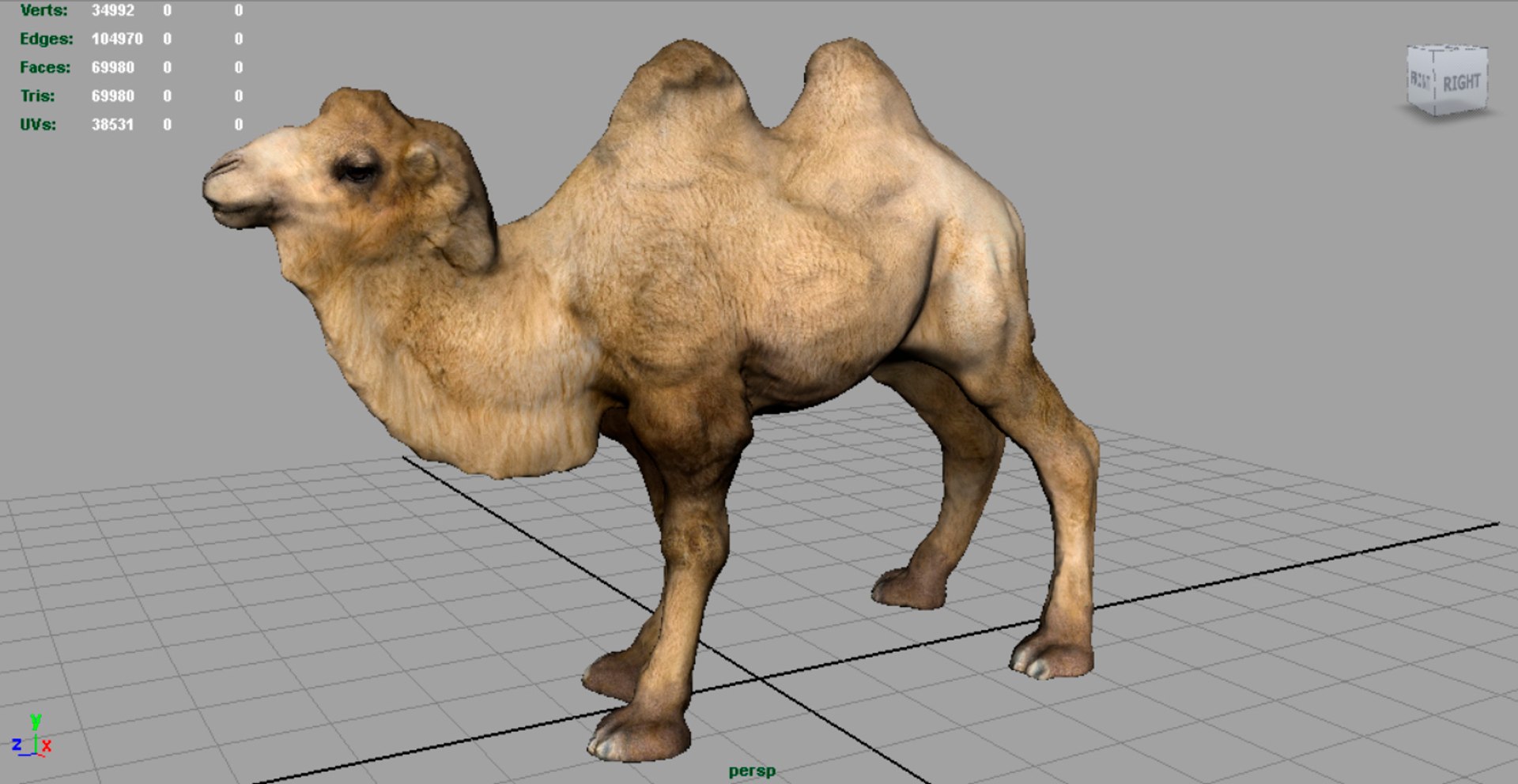 3D Bactrian Camel - TurboSquid 1166666