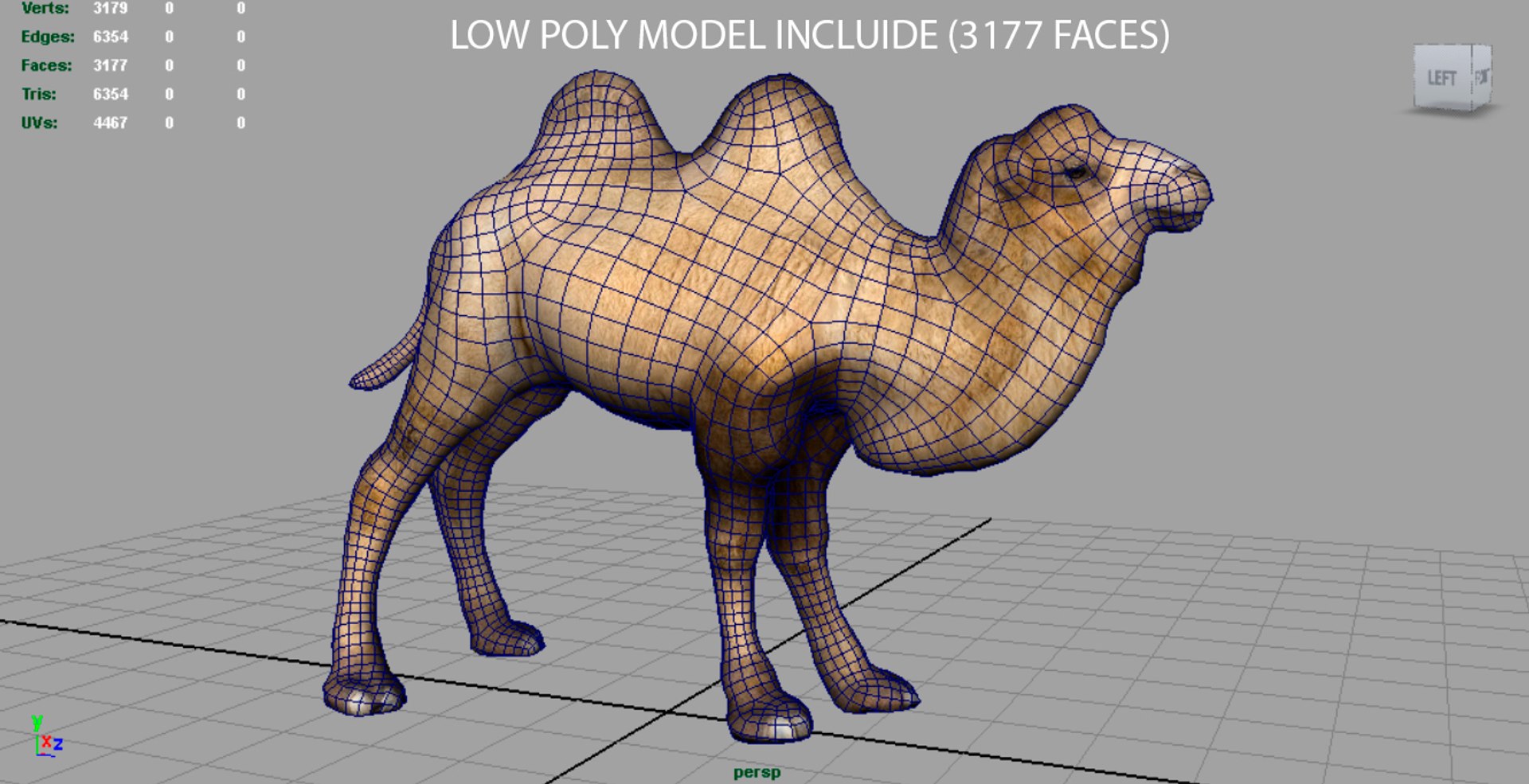 3D bactrian camel - TurboSquid 1166666