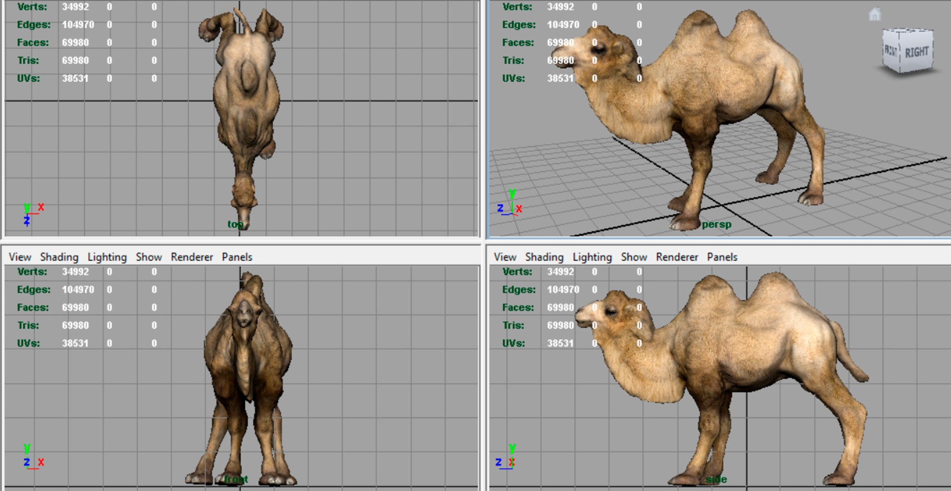 3D bactrian camel https://p.turbosquid.com/ts-thumb/bC/uUPW4B/kM1I8W5c/render4/jpg/1497039823/1920x1080/fit_q87/c3d903a48e4e33ad28328e0dc9b3a57fb0eb9e30/render4.jpg