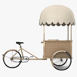3D bicycle e