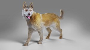 Fur Big Dog Yellow Rigged 3D