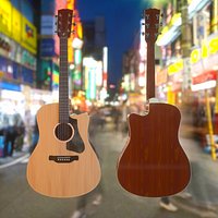 Acoustic Guitar