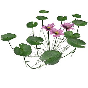 3D Lotus Flower - 05 - model