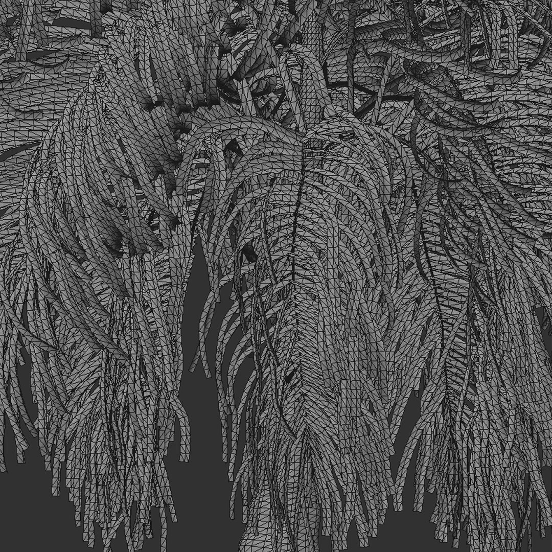 Bottle Palm or  Hyophorbe Lagenicaulis Tree model https://p.turbosquid.com/ts-thumb/bD/F3QBNS/6x/preview7t/jpg/1670493730/1920x1080/fit_q87/9ae05d3902980a7ac09a37139302fa1c26751ab4/preview7t.jpg