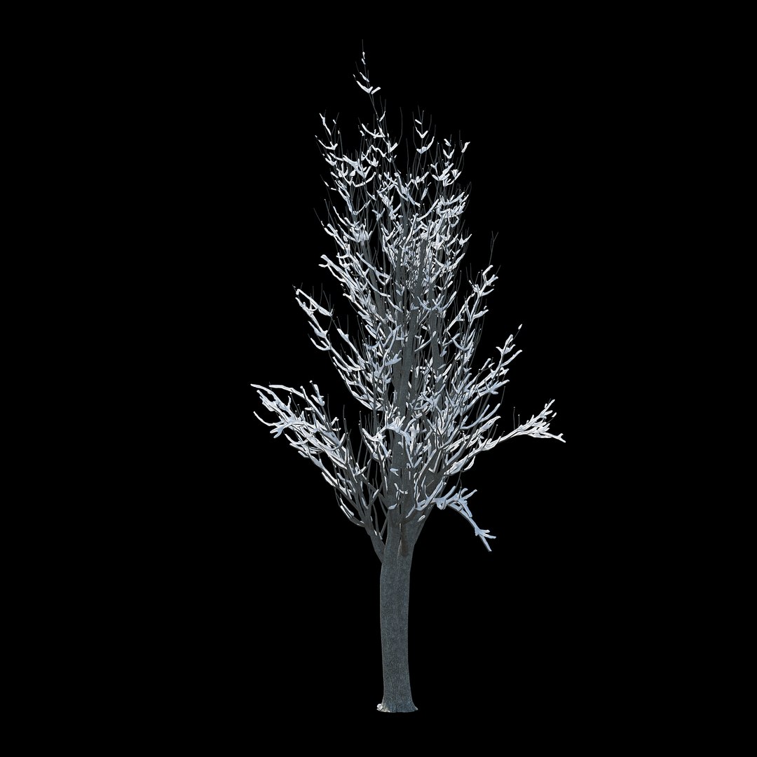 3D model winter tree 025 - TurboSquid 1233746