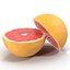 Grapefruit Cross Section 3D Model