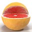 Grapefruit Cross Section 3D Model