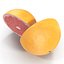 Grapefruit Cross Section 3D Model