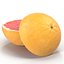 Grapefruit Cross Section 3D Model
