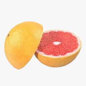 3d grapefruit cross section modeled