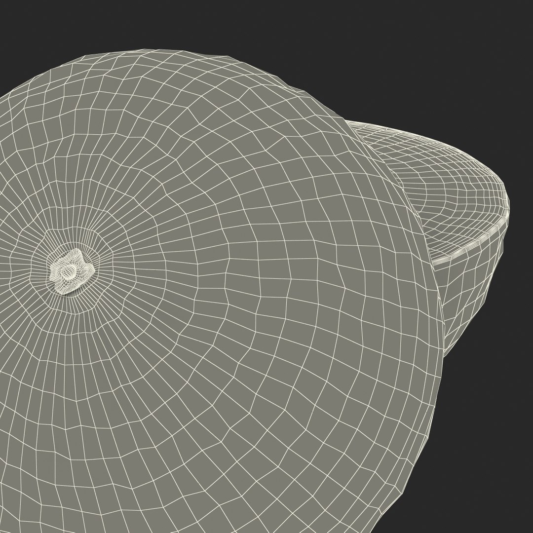 3d grapefruit cross section modeled https://p.turbosquid.com/ts-thumb/bD/PjONsZ/DB4QlufD/grapefruitcrosssection3dmodel31/jpg/1428676622/1920x1080/fit_q87/2eacb4fc066076bd0c8a1baf25cf4b63a01015d0/grapefruitcrosssection3dmodel31.jpg