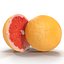 Grapefruit Cross Section 3D Model