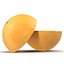 Grapefruit Cross Section 3D Model