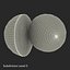 Grapefruit Cross Section 3D Model