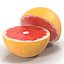 Grapefruit Cross Section 3D Model