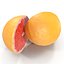 Grapefruit Cross Section 3D Model