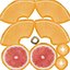 Grapefruit Cross Section 3D Model