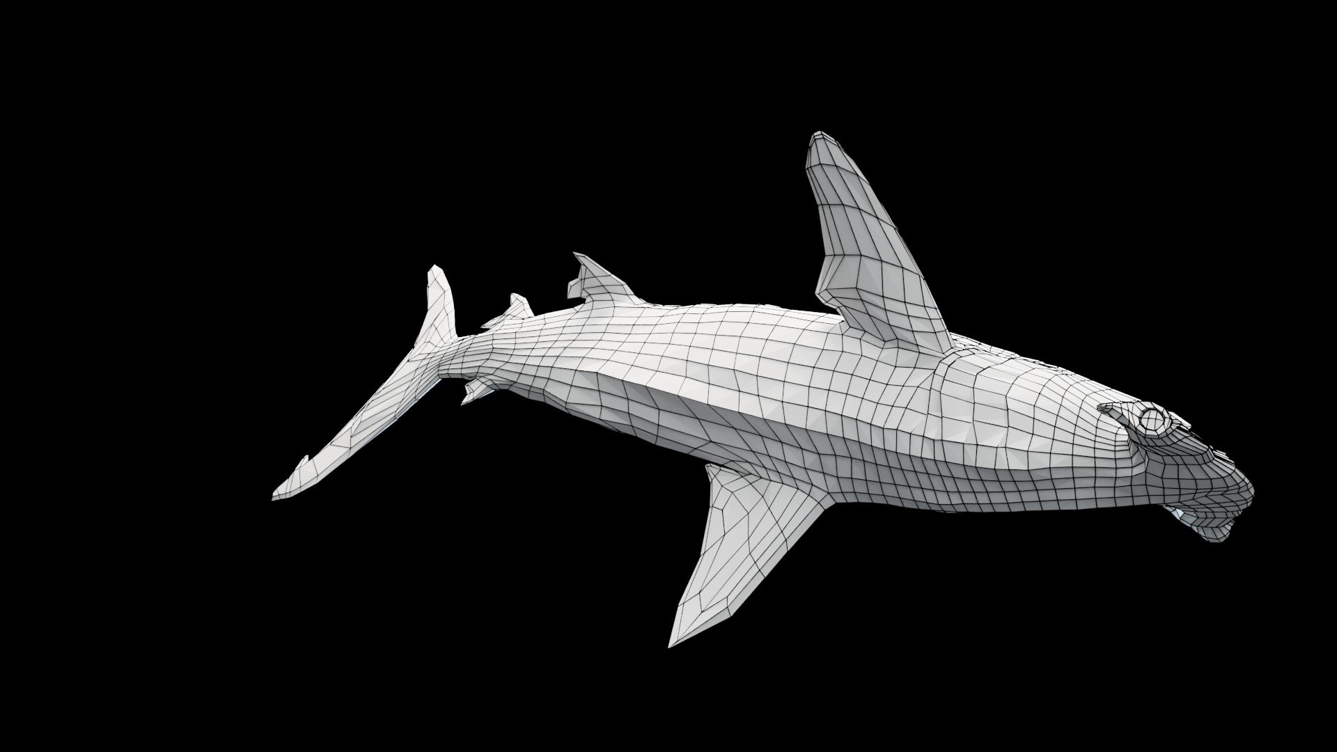 3D Hammerhead Shark - TurboSquid 2130844