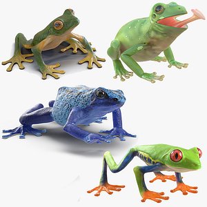 3D model frogs rigged 2