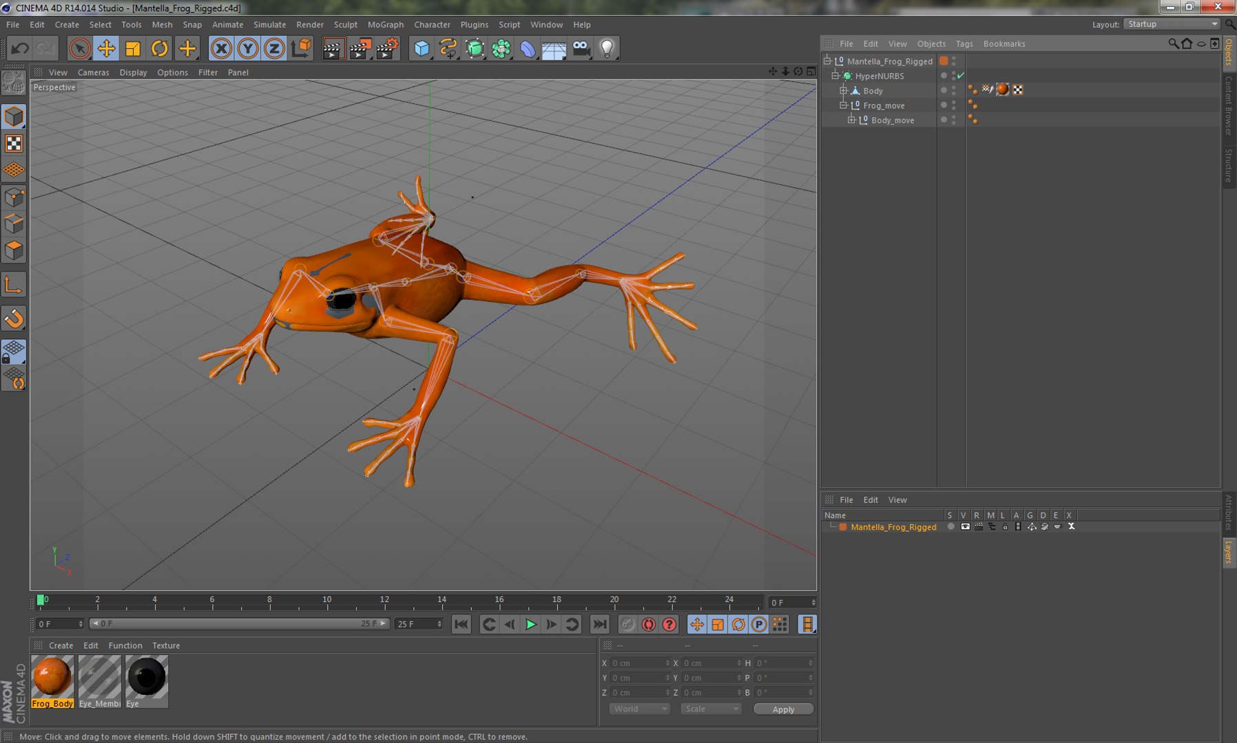 3D model frogs rigged 2 - TurboSquid 1521685