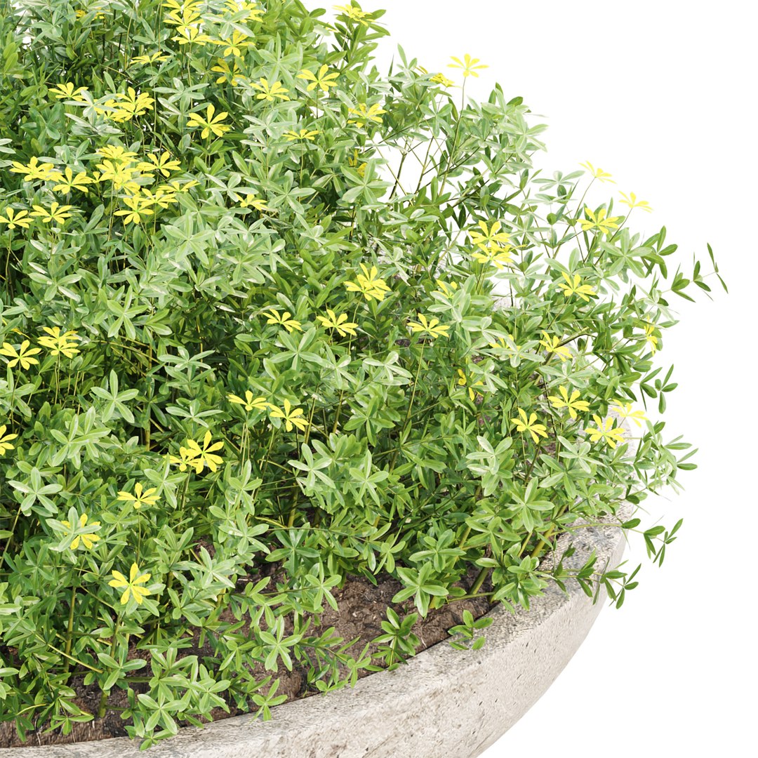 3D Premium Indoor &amp; Outdoor Plant Collection Bundle 100 https://p.turbosquid.com/ts-thumb/bD/lu0h95/wN/3/jpg/1784200603/1920x1080/fit_q87/443625282a1d3aaea546e0cd99de6fa80d14062d/3.jpg