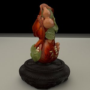 3D Chinese  gourd model