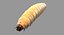 Maggot