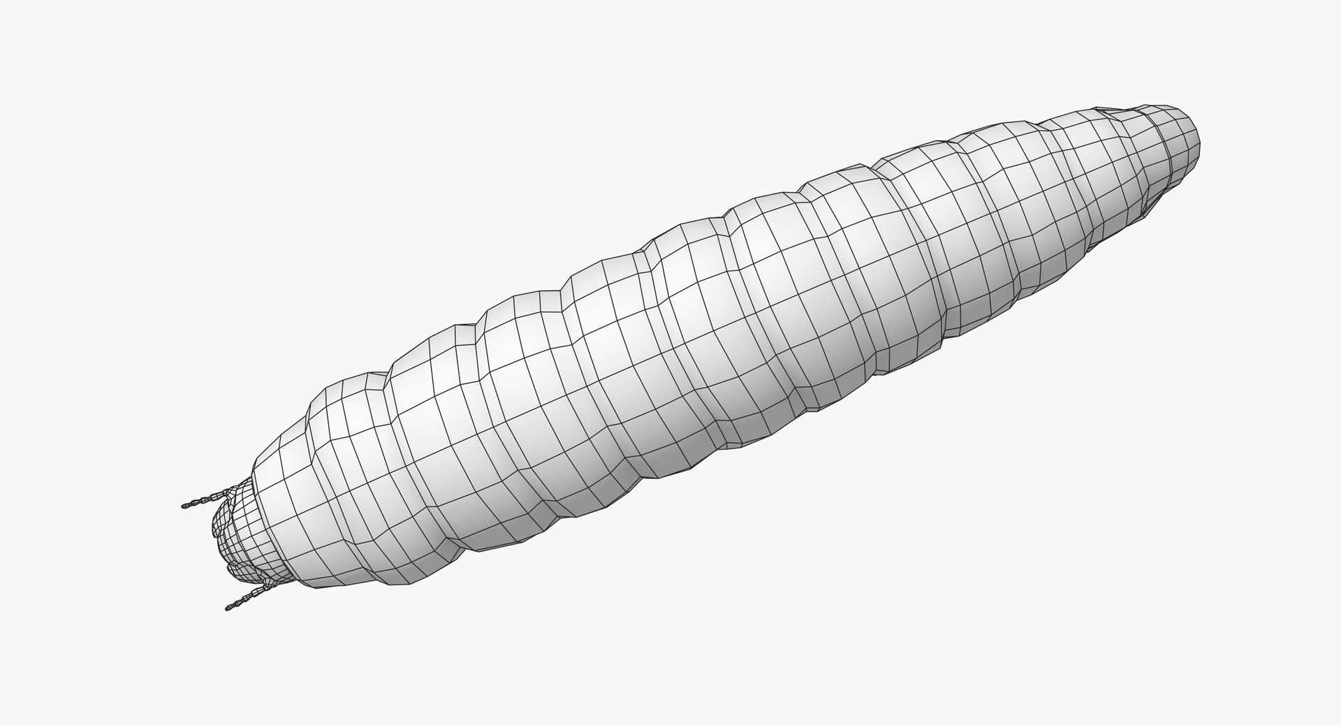 realistic maggot model https://p.turbosquid.com/ts-thumb/bD/ql1Z3t/JIctv0tI/maggot_wireframe_04/jpg/1562665587/1920x1080/fit_q87/7030cd1fd115dc690f078e4a06a0bf1445e55e0e/maggot_wireframe_04.jpg