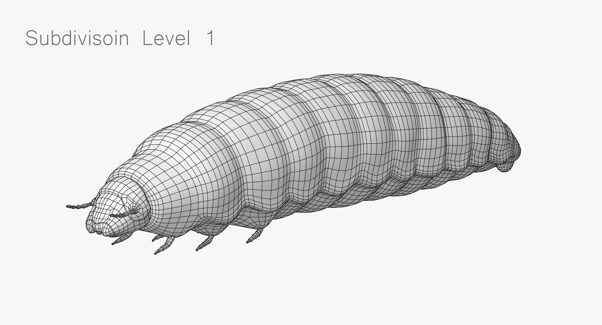 realistic maggot model https://p.turbosquid.com/ts-thumb/bD/ql1Z3t/au22KGsP/maggot_wireframe_02/jpg/1562665587/1920x1080/fit_q87/d6605a187b47b278b7818159de8700051379c5cf/maggot_wireframe_02.jpg