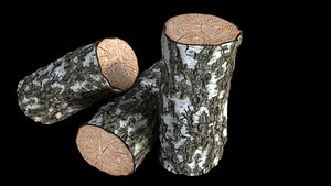 Birch Tree log 3D model