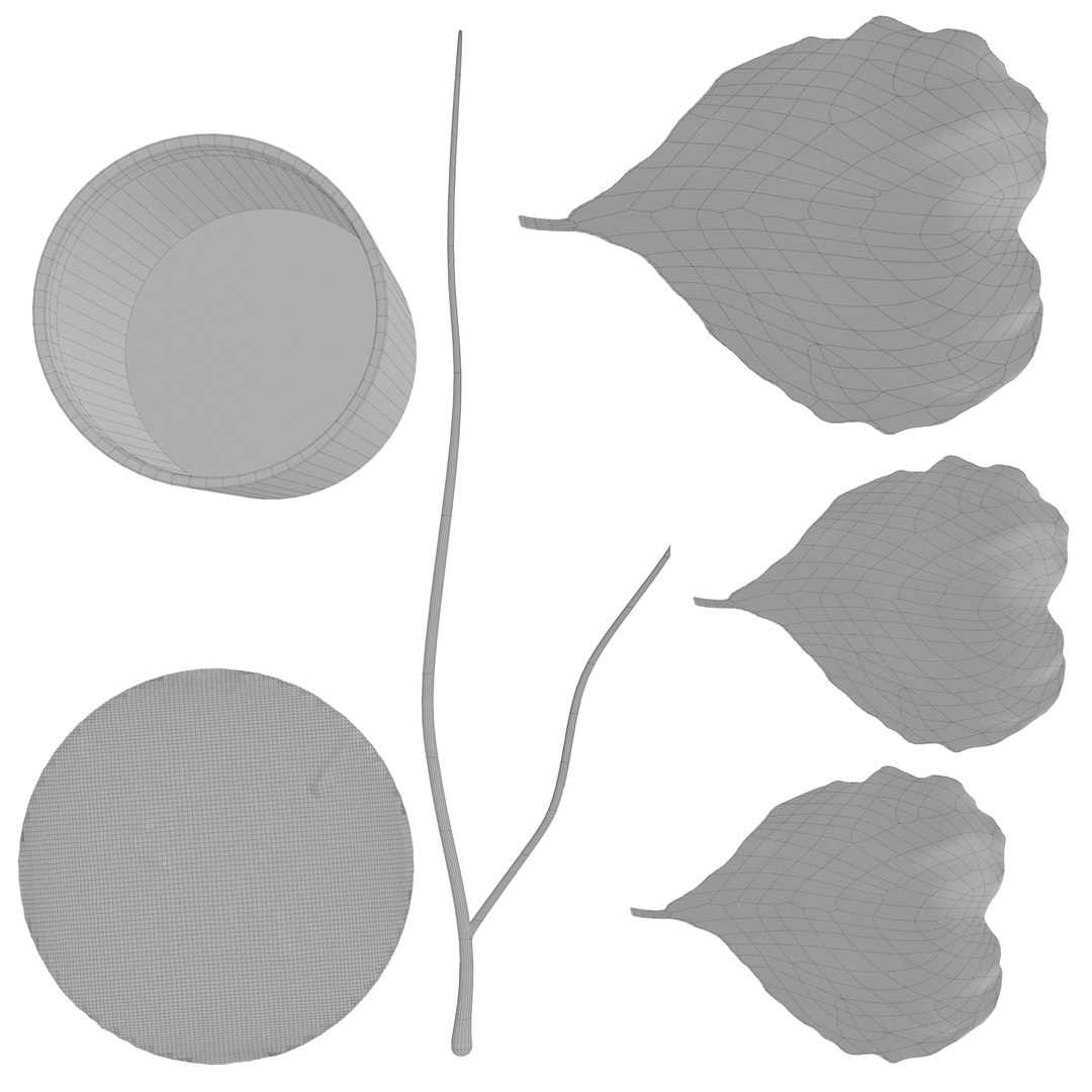 3D model ficus lyrata https://p.turbosquid.com/ts-thumb/bD/shlCRY/6k8srSS3/wireframe1/png/1607368875/1920x1080/fit_q87/81468696221d60ac1bc22f3b839b5ac9131e63d7/wireframe1.jpg
