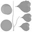 Ficus Lyrata Collection