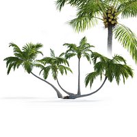 Palm trees Vol 1