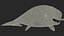 3D toothed whale narwhal rigged animal model