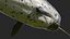 3D toothed whale narwhal rigged animal model