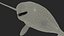 3D toothed whale narwhal rigged animal model