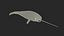 3D toothed whale narwhal rigged animal model