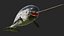 3D toothed whale narwhal rigged animal model
