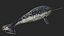 3D toothed whale narwhal rigged animal model