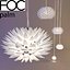 FOC 손바닥