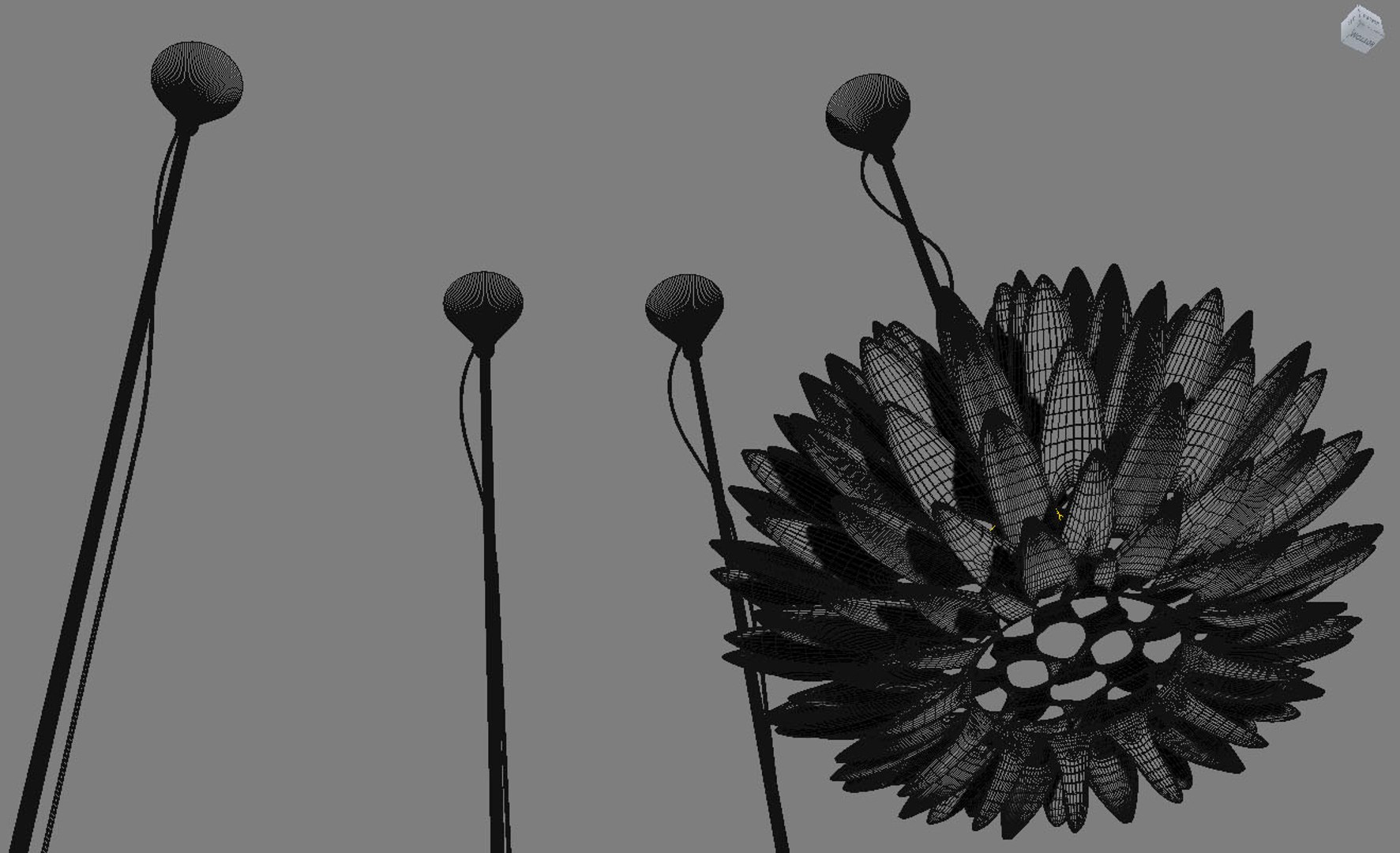 3d model of foc palm https://p.turbosquid.com/ts-thumb/bE/YYBV6i/Z6vIeQOn/focpalm4/jpg/1425461566/1920x1080/fit_q87/7bd40b6e7b0ed006dc208d003d8e887b9cef6e67/focpalm4.jpg