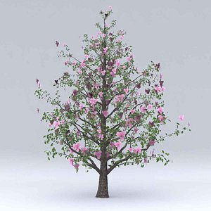 magnolia flowers hight model