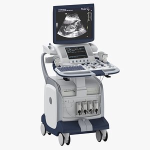 3D Ultrasound model